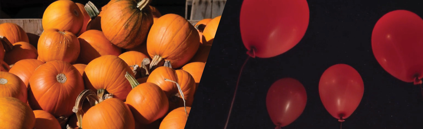 A wooden bin filled with small pumpkins