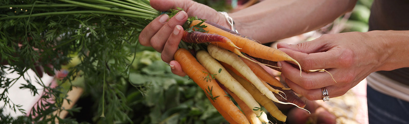 Woman picking up a bundle of carrots