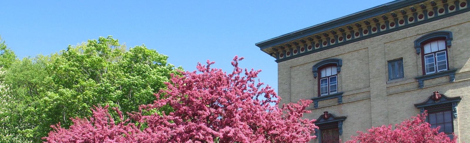 Exterior view of the historic Hotel Carlyle in Port Hope, Ontario, surrounded by flowering trees.