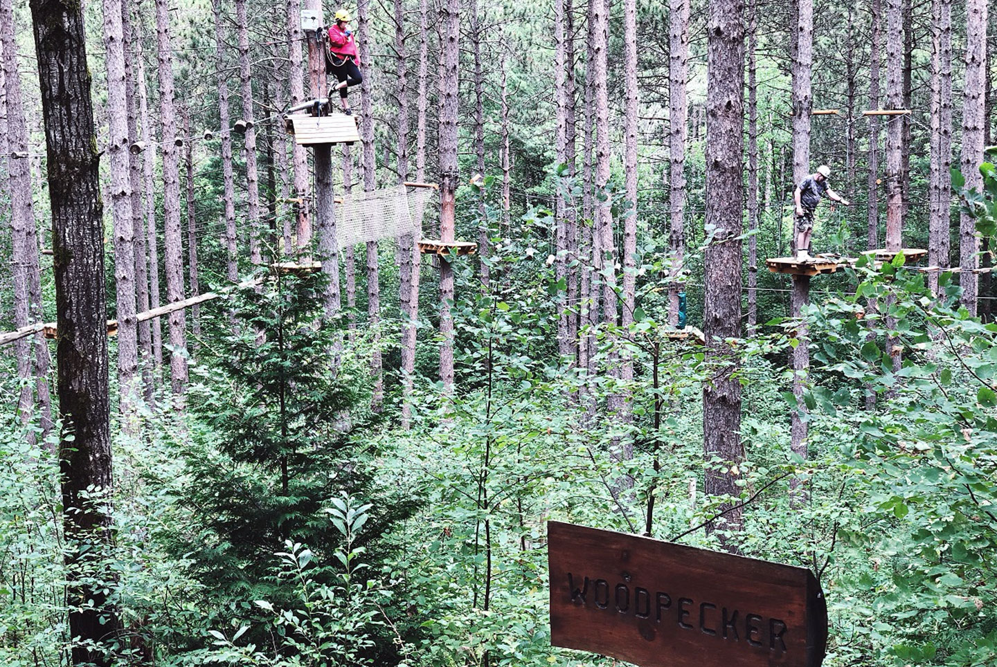 Treetop Trekking in Port Hope - Port Hope Tourism